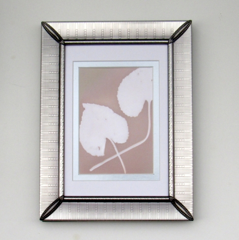 Chicago Illumenation II by Natasha Sanchez | RC photographic paper, leaves, SUNLIGHT, frame Chicago Illumenation II